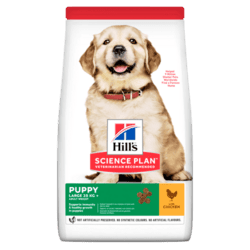 SCIENCE PLAN Large breed PUPPY CHICKEN 12 KG
