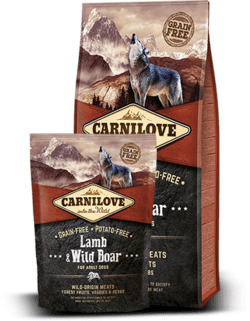 CarniLove Lamb & Wild Boar for adult 1,5 kg 