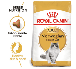 Royal Canin Norwegian Forest Cat Adult 10 kg tørfoder til Norsk Skovkat
