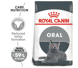 Royal Canin Dental Care 8 kg - tørfoder til kat understøtter tand og mundhygiejne
