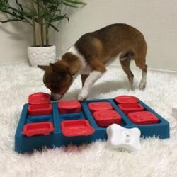 Nina Ottosson Dog Brick