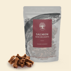 ESSENTIAL Salmon Mini Delights 100g
