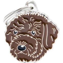 Tegn, Italiensk vandhund (Brun)
