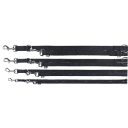 Premium V-Line Sort (Dressurline)