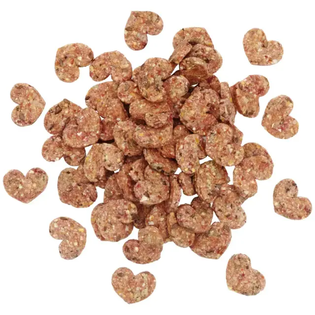 JR Tiny Treats Protein Hjerter Hermetia 100 g | Proteinrig snack til gnavere