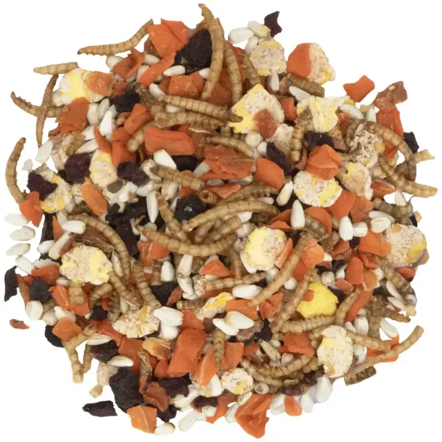 JR Tiny Treats Protein Mix 100 g | Naturlig snack med melorme til gnavere