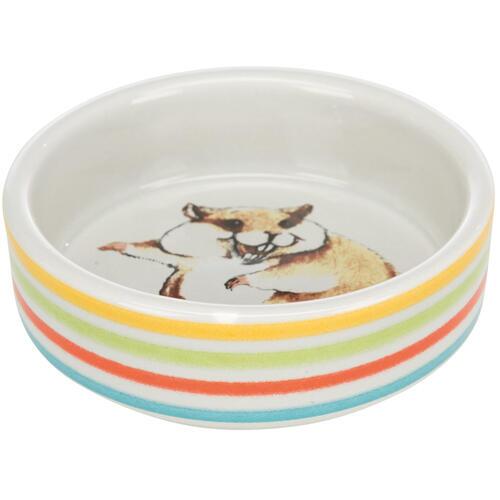Ceramic bowl for hamster