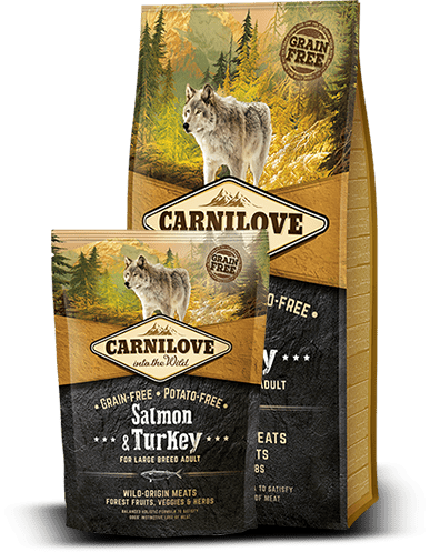CarniLove Salmon & Turkey for large breed adult ≥ 25 kg 12kg (FREE SHIPPING)