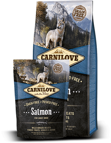 CarniLove Salmon for adults 12 kg (FREE SHIPPING)