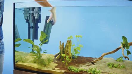 Oasis BioPlus 50