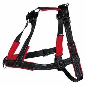 Lead n Walk Soft sele ( M-L )