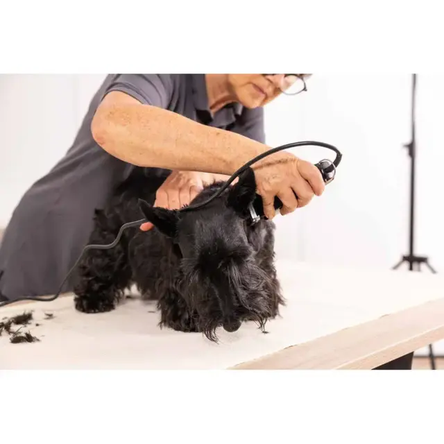 Moser Dog Trimmer Rex incl. 6 & 9mm spacer comb