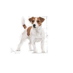 Mini Adult 12x85g