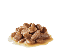 Mini Adult 12x85g