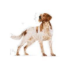 Royal Canin Medium Adult 10 x 140 g