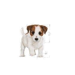 Mini Puppy 12x85g