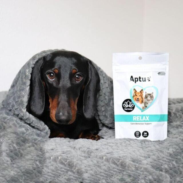 Aptus Relax 30 stk tyggebidder