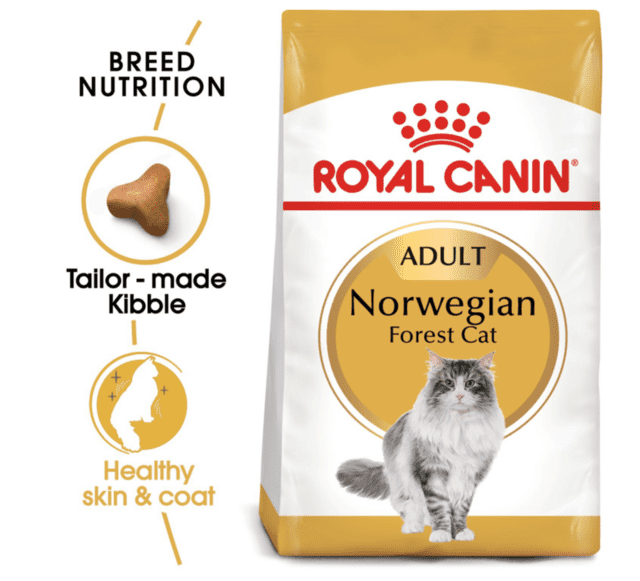 Royal Canin Norwegian Forest Cat Adult 10 kg tørfoder til Norsk Skovkat