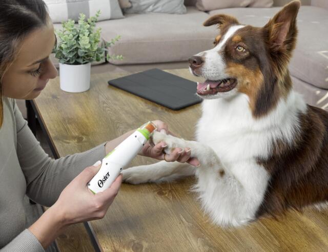 Oster electric nail file