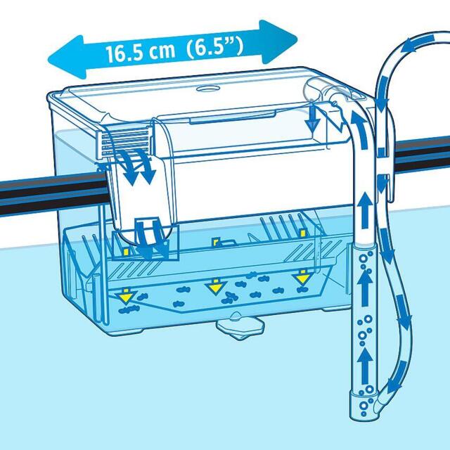 Hang-On breeding box - Fish feeding box