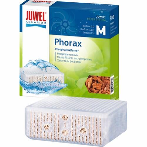 Juwel Phorax Str. M