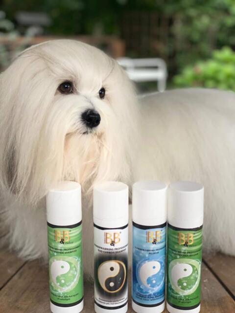B&B Hundefrisørens professionelle Duo Carbon shampoo