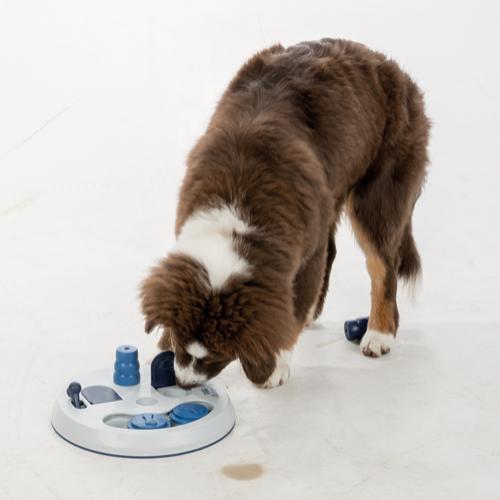 Trixie Flip Board Dog Activity