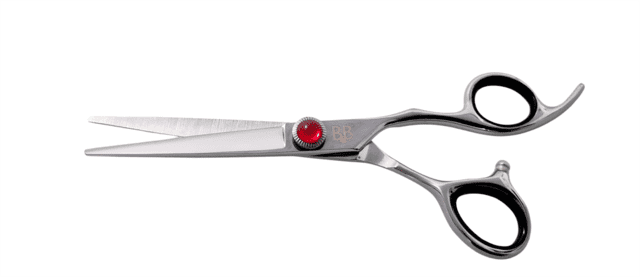 B&B Dog scissors set