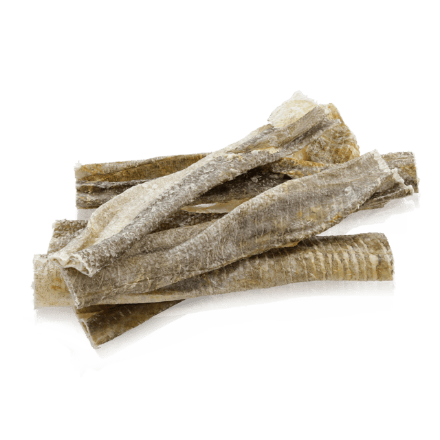 ESSENTIAL Iceland Fish Delights
