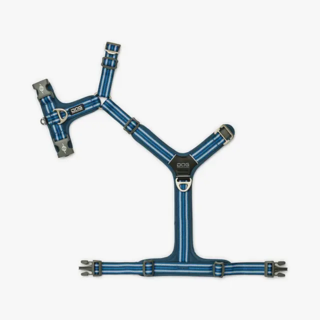 Dog Copenhagen Comfort Walk Air Harness - Ocean Blue
