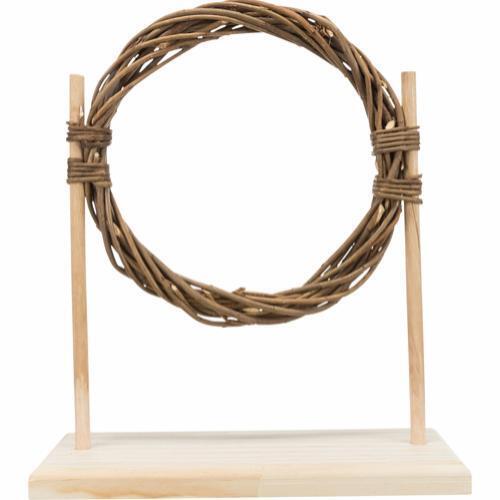 Activity set with obstacle and ring