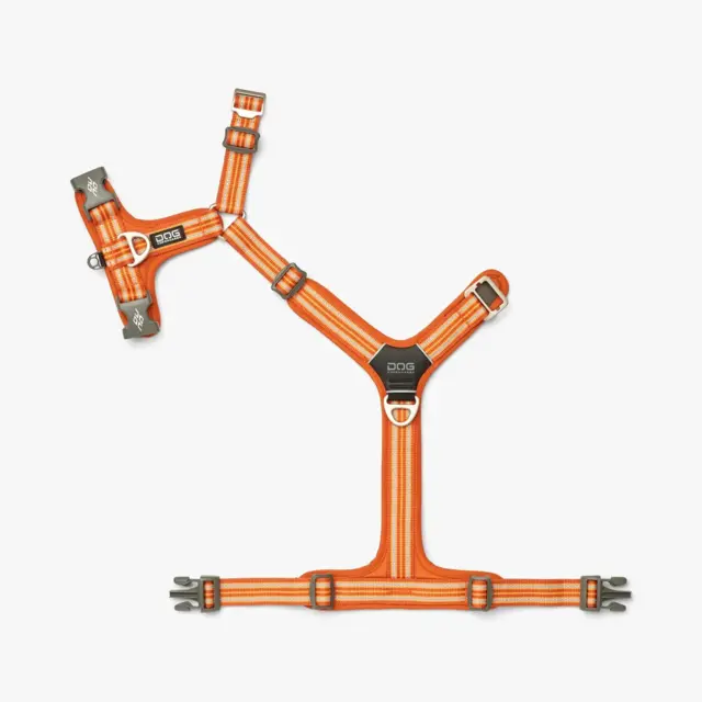 Dog Copenhagen Comfort Walk Air Harness - Orange