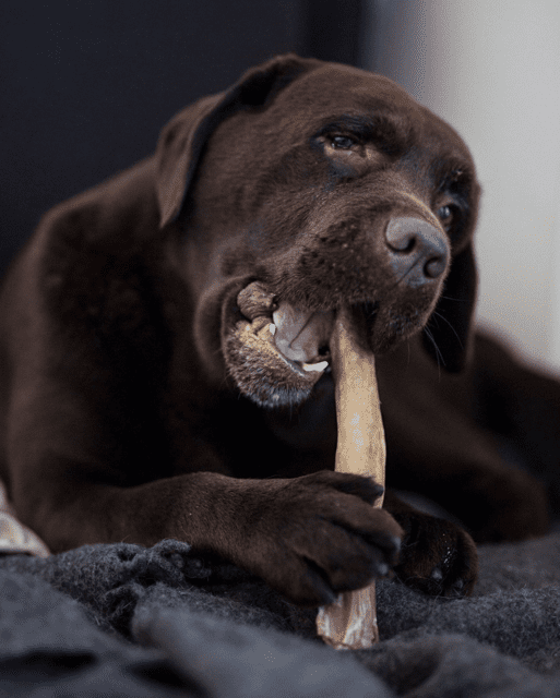 Monster Rawhide Beef Roll - 1 pc