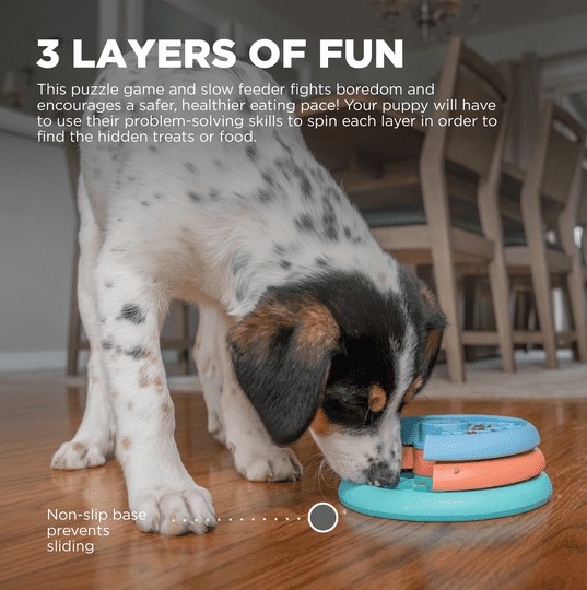 Nina Ottosson - Puppy Lickin Layers