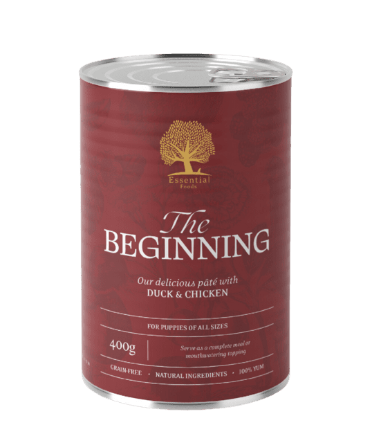 ESSENTIAL the BEGINNING PÂTÉ 400G