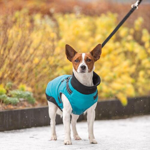 Pontis harness coat - Aqua