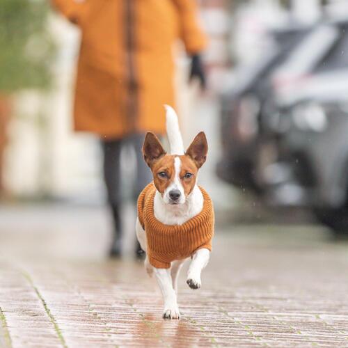 CityStyle Berlin pullover - Rust