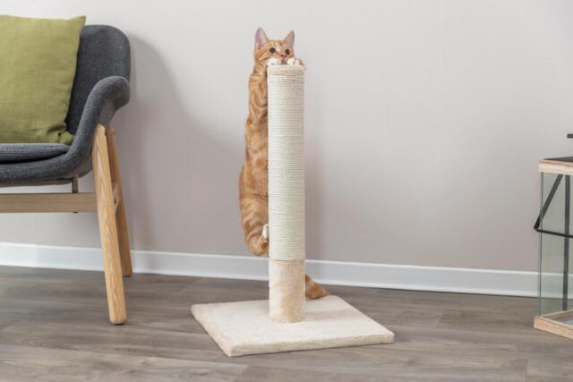 Kradsetræ - Batres 62 cm Beige