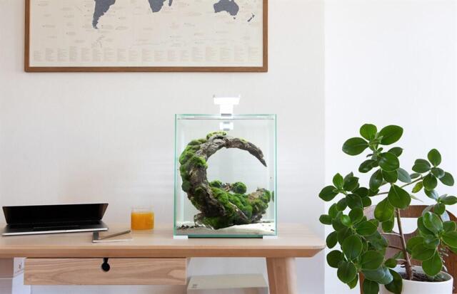 Shrimp set Day &amp; Night 30L (White) (FREE SHIPPING)