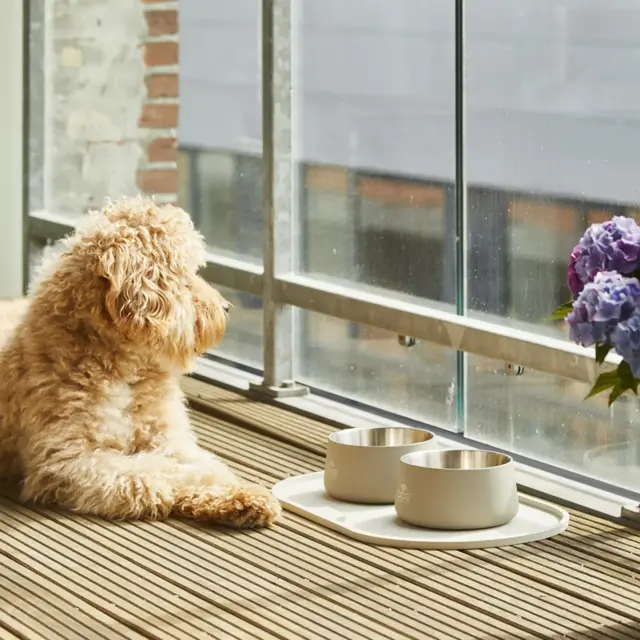 Dog Copenhagen Vega Skål - Caffe Latte