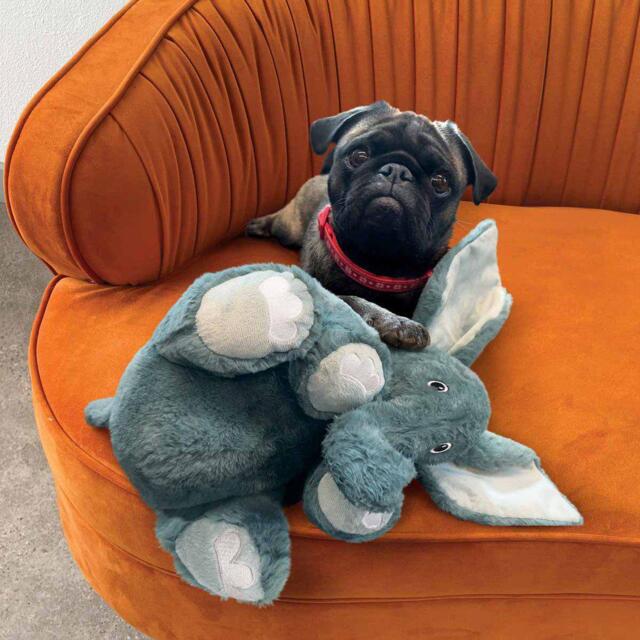 Kong Comfort Kiddos jumbo Elephant Xl