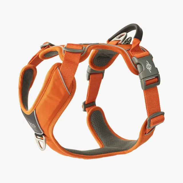 Dog Copenhagen Comfort Walk Pro Harness - Orange