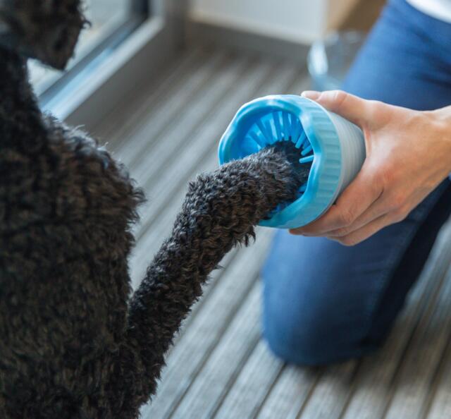 Trixie Paw cleaner - Poterenser M/L