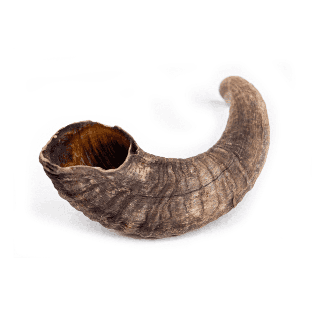 Snack'it Lammehorn (Store)