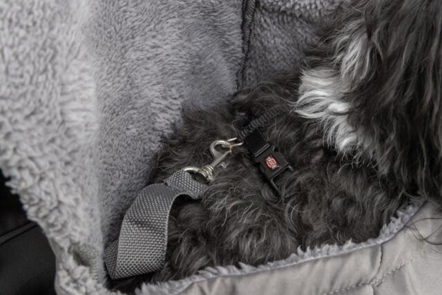 Trixie Molly Fronttaske – Bæretaske til hund med tæt kontakt (OUTLET)