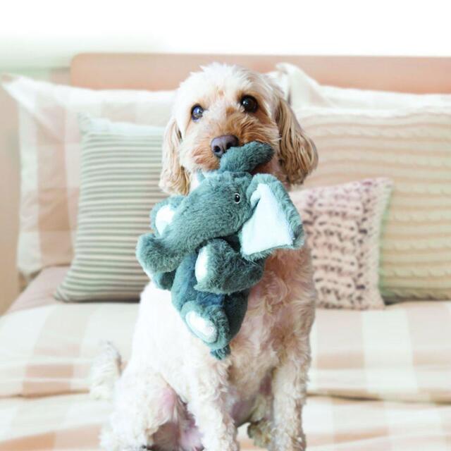 KONG Comfort Kiddos elefant XS