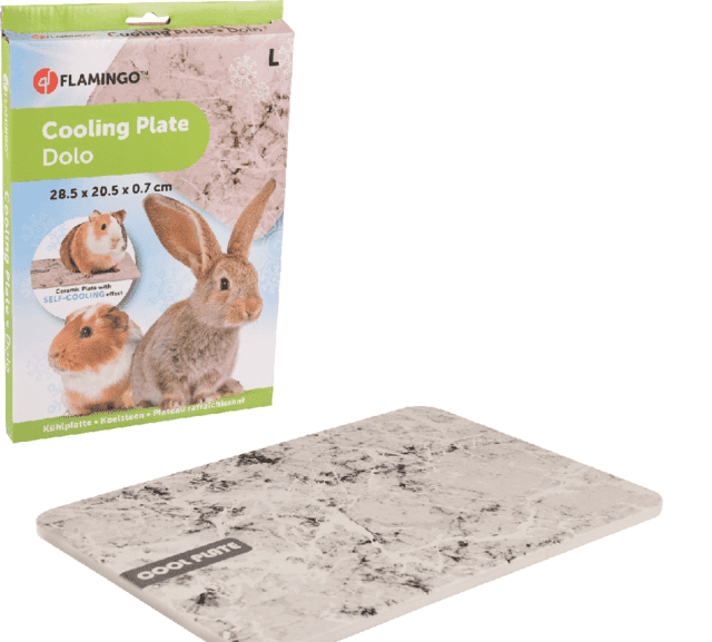 COOLING STONE DOLO GRAY L 30x20x0.7CM