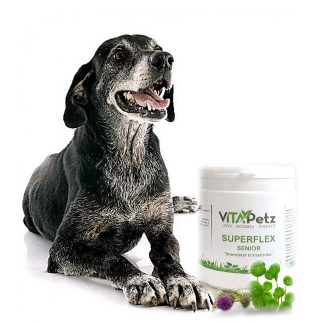 VitaPetz Superflex Senior 450g