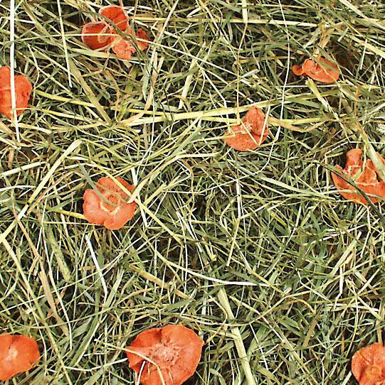 JR Farm Bjergenghø med Gulerod 500g