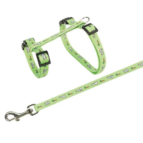Rabbit harness with great colors and motif. With Line